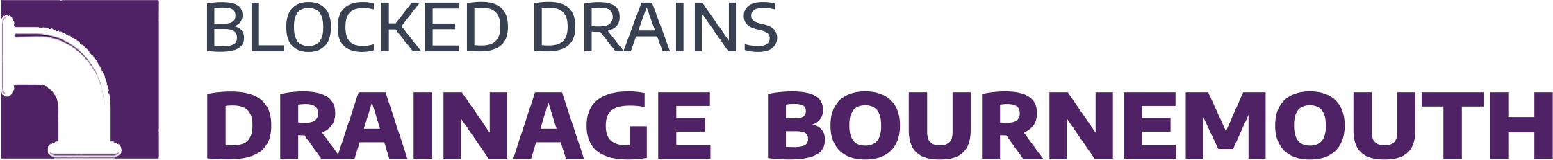 website logo